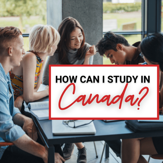 How can I study in Canada?